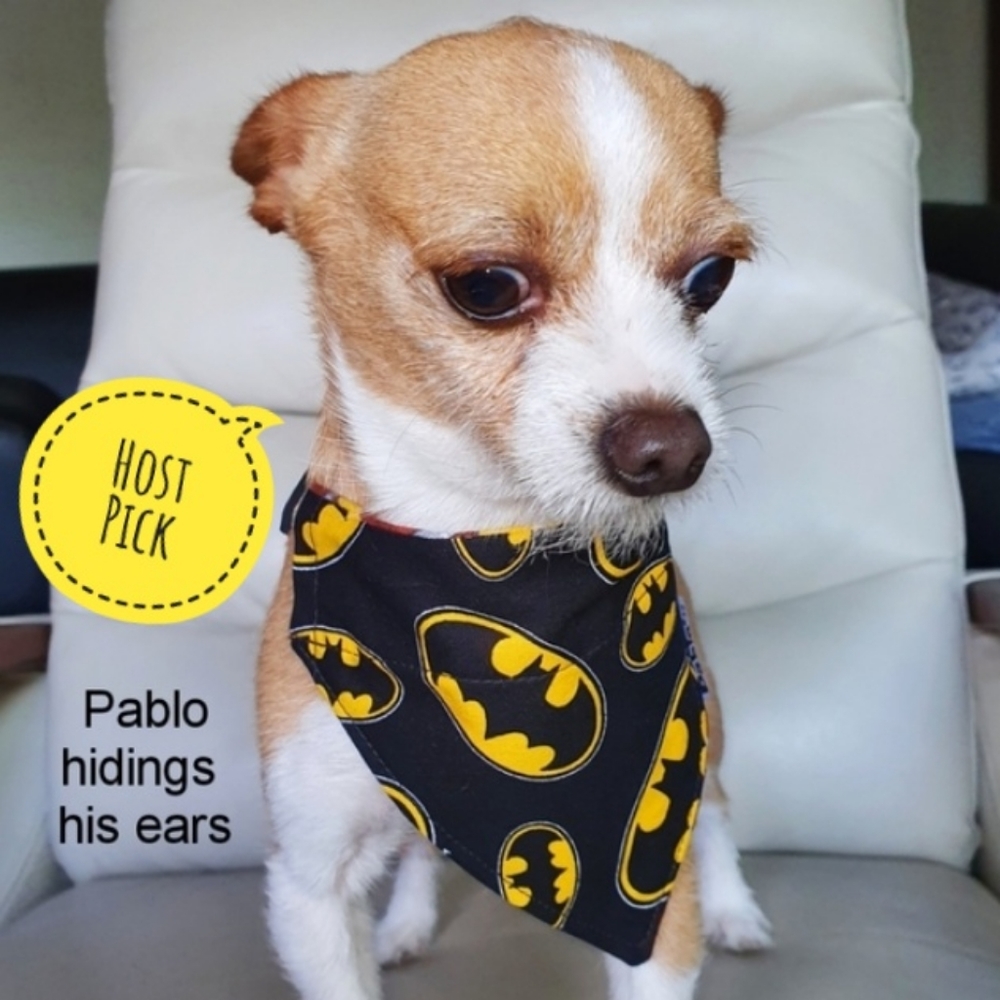 🐶 5 for $15 * Pablo Batman Reversible Over The Collar Dog Bandana